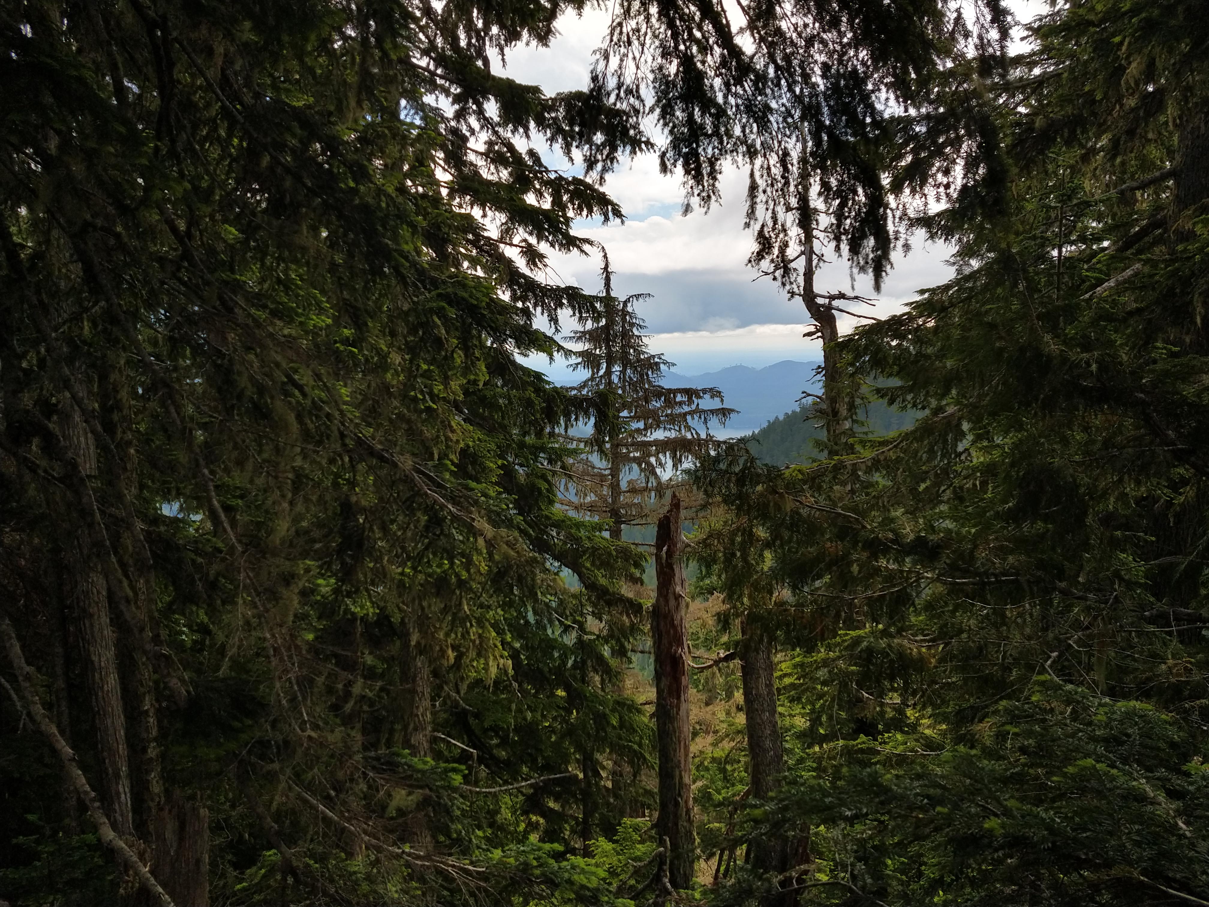 Copper Creek — Washington Trails Association